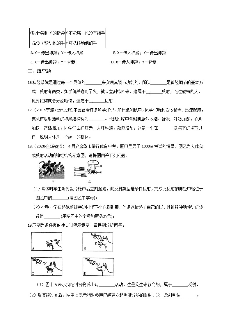 浙教版科学 八年级上册 3.3 神经调节（第1课时） 课件+教案+练习03