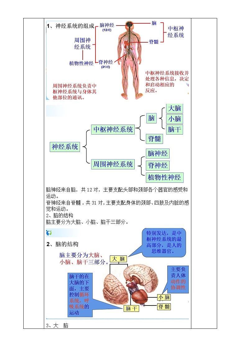浙教版科学 八年级上册 3.3 神经调节（第1课时） 课件+教案+练习03