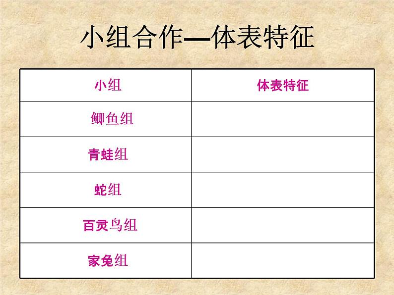 华师大版科学七年级上册 2.1动物的主要类群 课件05