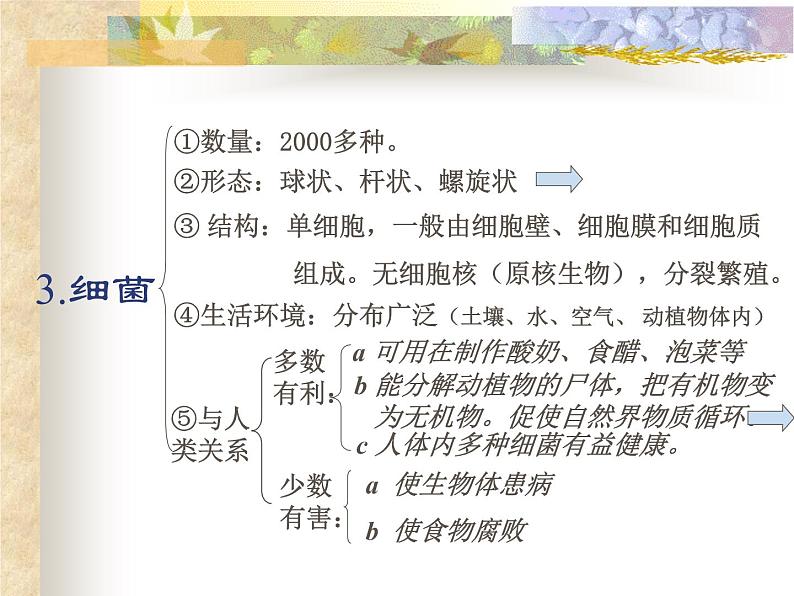 华师大版科学七年级上册 2.3细菌和真菌 课件第6页