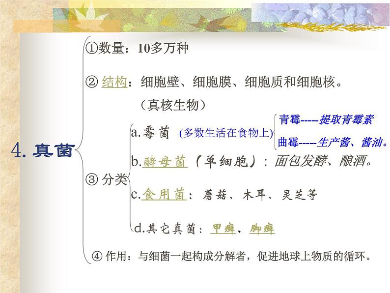 华师大版科学七年级上册 2.3细菌和真菌 课件第8页