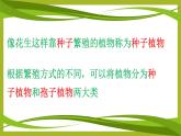 華師大版科學(xué)七年級上冊 2.2植物的主要類群 課件