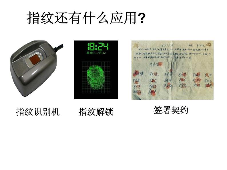 华师大版科学七年级上册 3.2同种生物的差异性 课件第7页