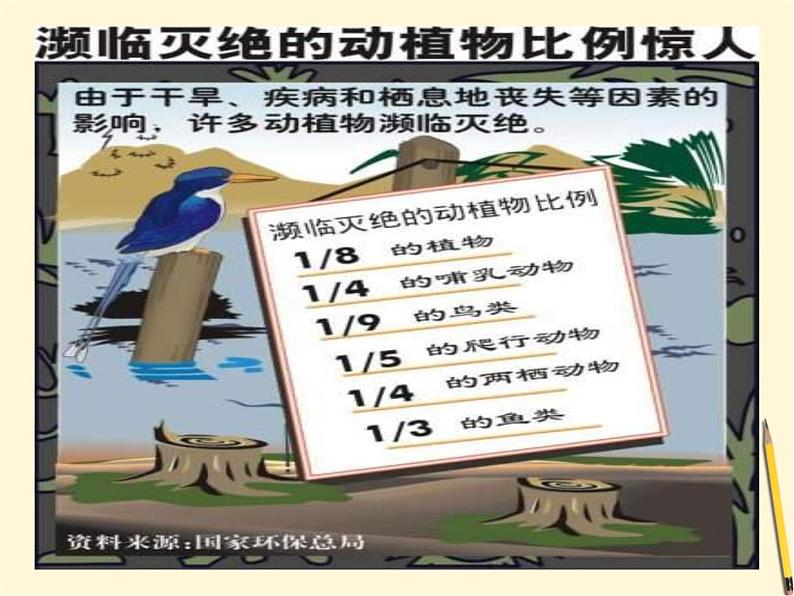 华师大版科学七年级上册 3.3保护生物多样性 课件08