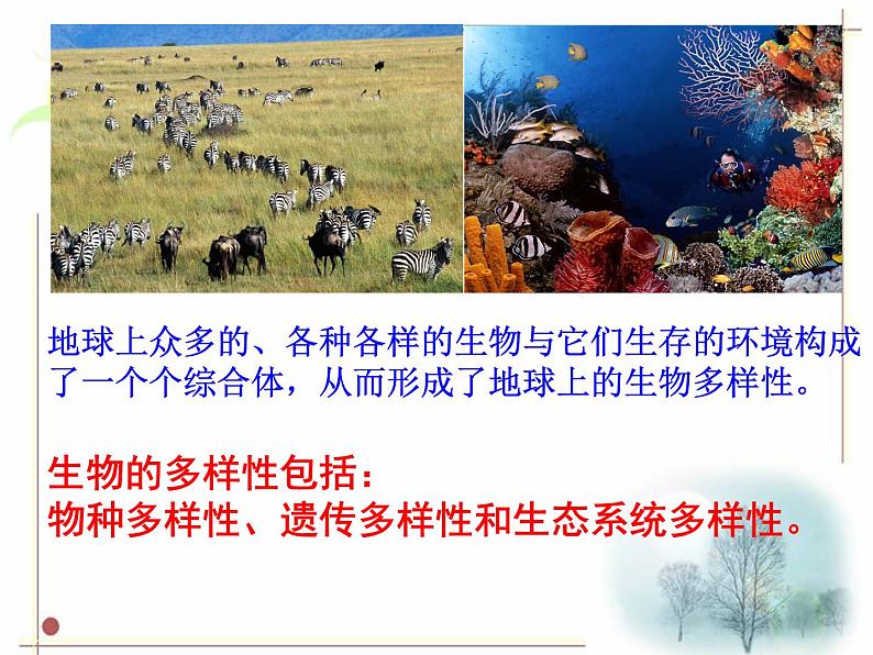 华师大版科学七年级上册 3.1生物物种的多样性 课件01