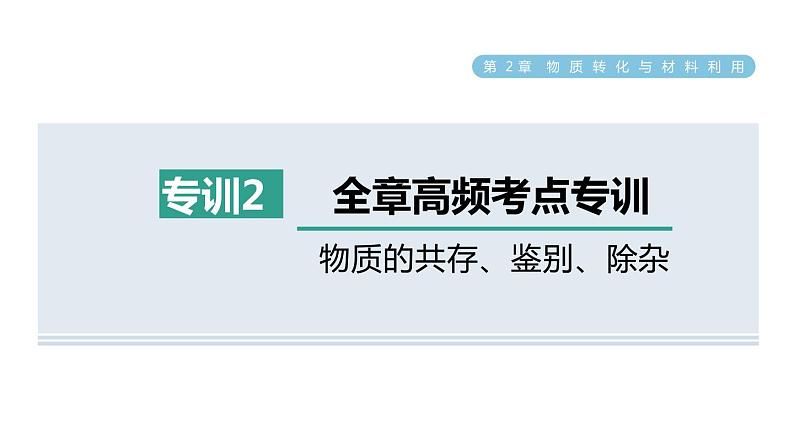 浙教版九年级科学上册第2章物质转化与材料利用专项训练二：物质的共存鉴别除杂习题课件01