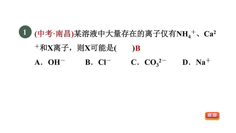 浙教版九年级科学上册第2章物质转化与材料利用专项训练二：物质的共存鉴别除杂习题课件03