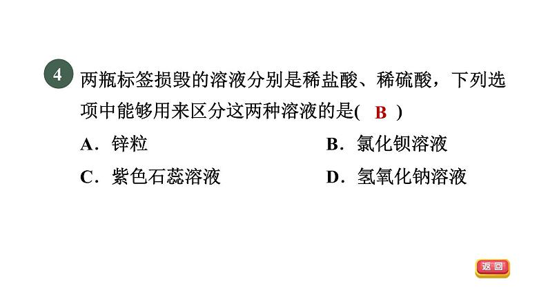 浙教版九年级科学上册第2章物质转化与材料利用专项训练二：物质的共存鉴别除杂习题课件06