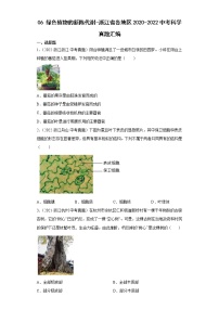06绿色植物的新陈代谢-浙江省各地区2020-2022中考科学真题汇编