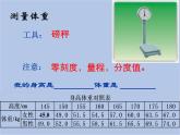 华师大7上个科学0.3 建立健康信息档案 课件