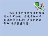 华师大7上个科学第1章 地球上的生物 复习课件