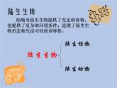 华师大7上个科学第1章 地球上的生物 复习课件