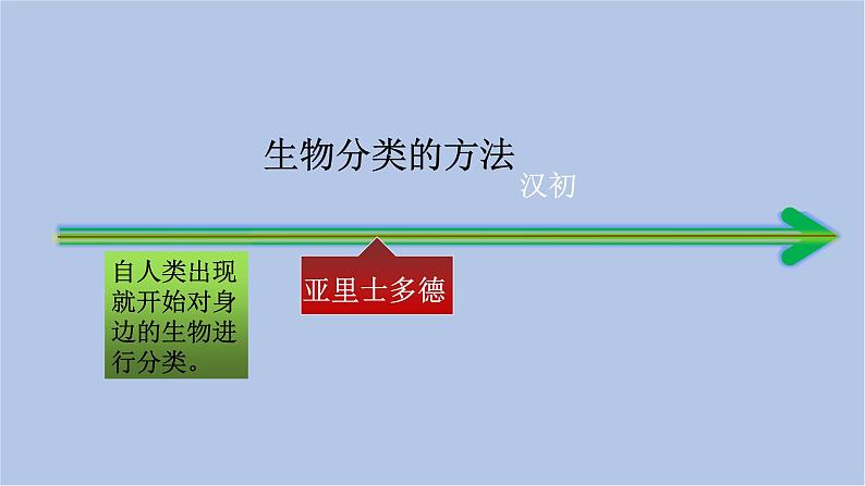 华师大7上个科学2.4 生物的分类 课件08