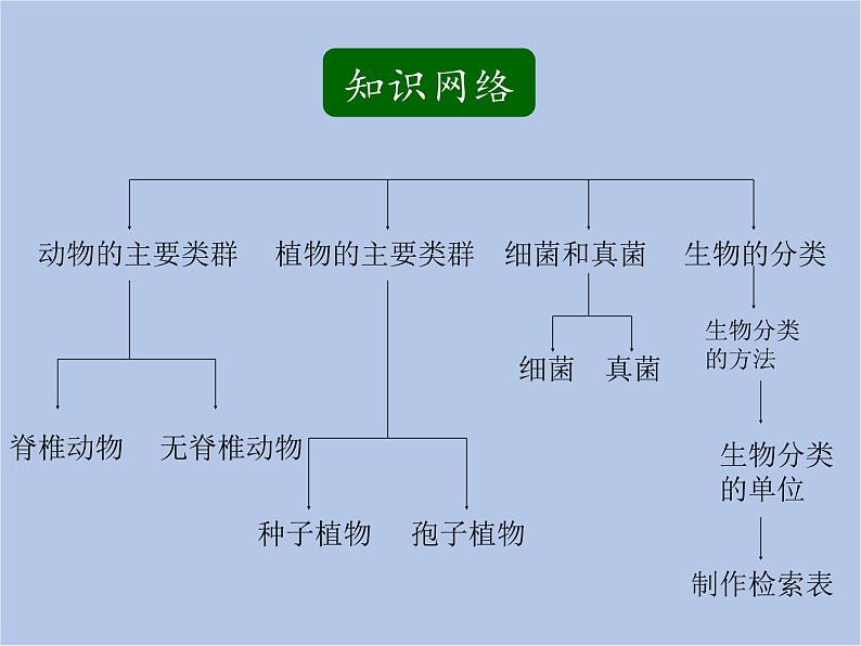 华师大7上个科学第2章 生物的主要类群 复习课件02