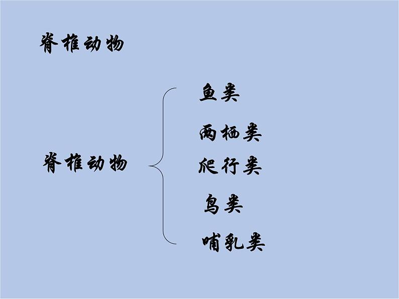 华师大7上个科学第2章 生物的主要类群 复习课件03