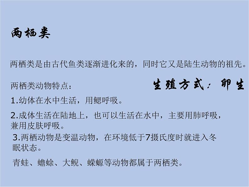 华师大7上个科学第2章 生物的主要类群 复习课件05