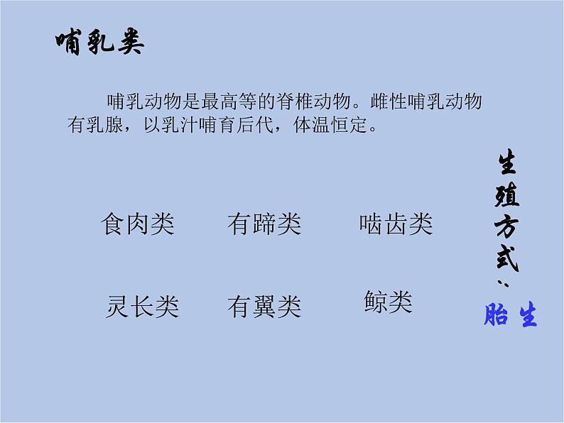 华师大7上个科学第2章 生物的主要类群 复习课件08