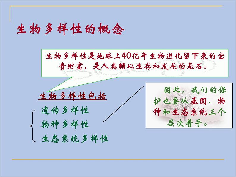 华师大7上个科学3.1 生物物种的多样性 课件02