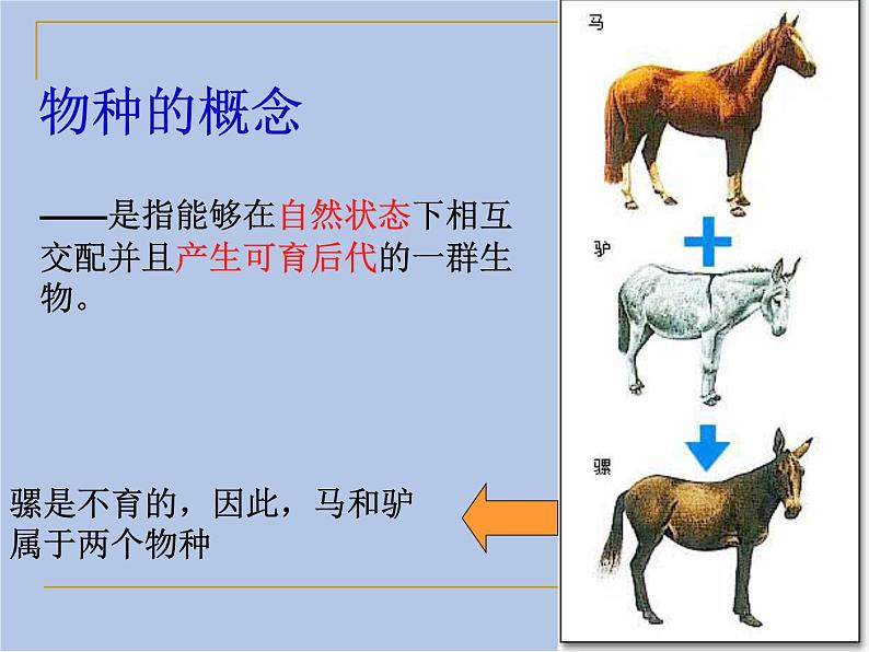 华师大7上个科学3.1 生物物种的多样性 课件07