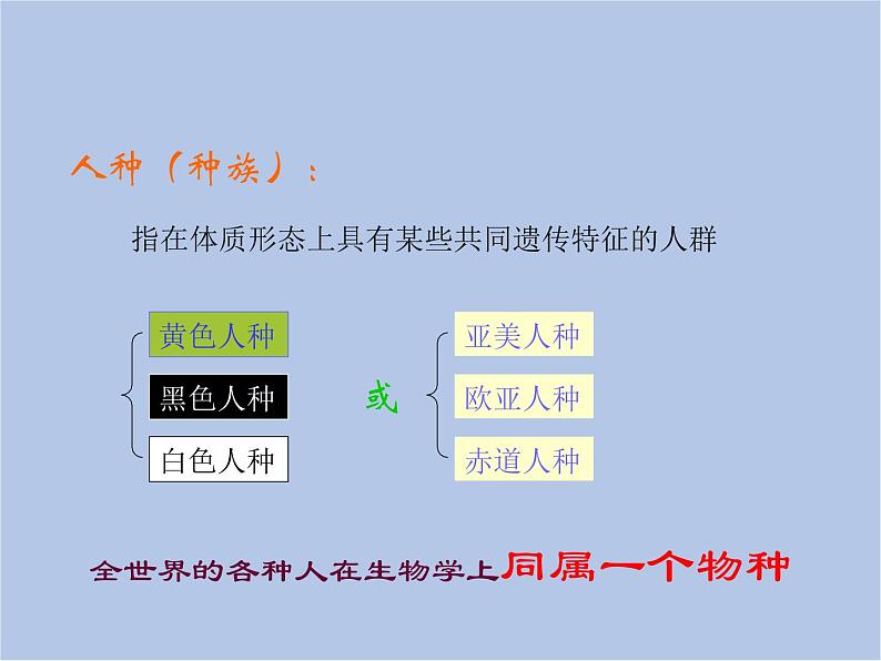 华师大7上个科学3.2 同种生物的差异性 课件第5页