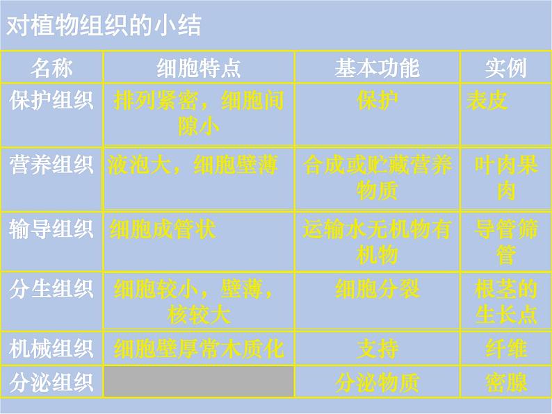 华师大7上个科学4.3 组织、器官和系统 课件07