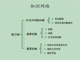 华师大9上科学第2章 酸与碱 复习课件