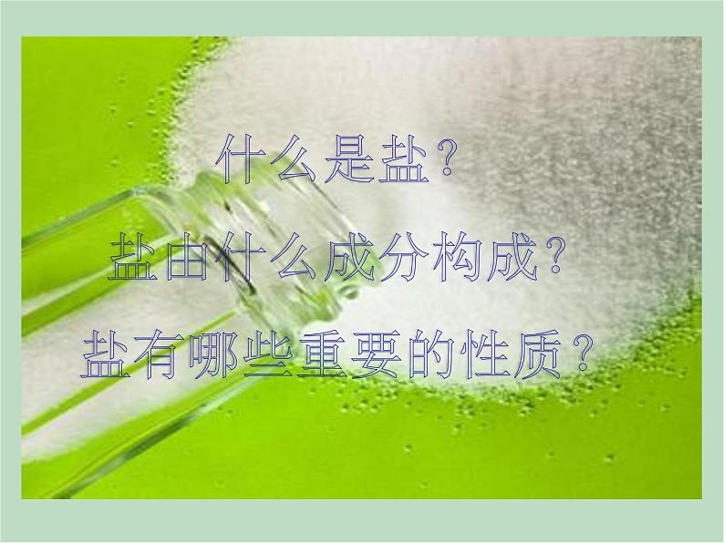 华师大9上科学3.3 常见的盐  课件04