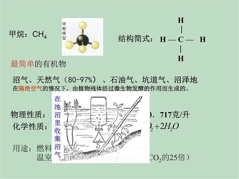 华师大9上科学4.1 身边的有机物  课件07