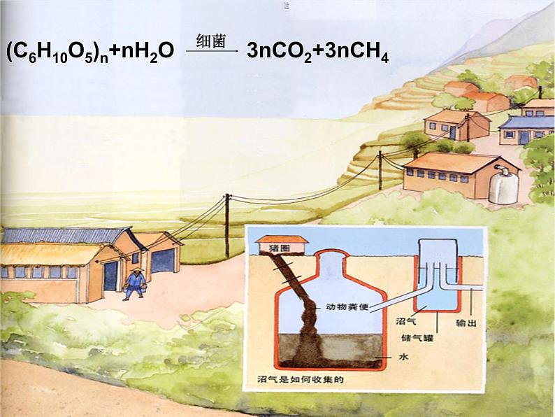 华师大9上科学4.1 身边的有机物  课件08