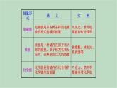 华师大9上科学7.4 能量的转化与守恒  课件