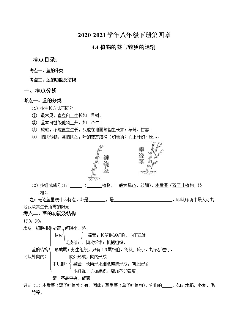 2020-2021学年浙教版八年级科学下册期末复习讲义（机构）4.4植物的茎与物质的运输 （考点分析+热点题型详解+巩固提升）01