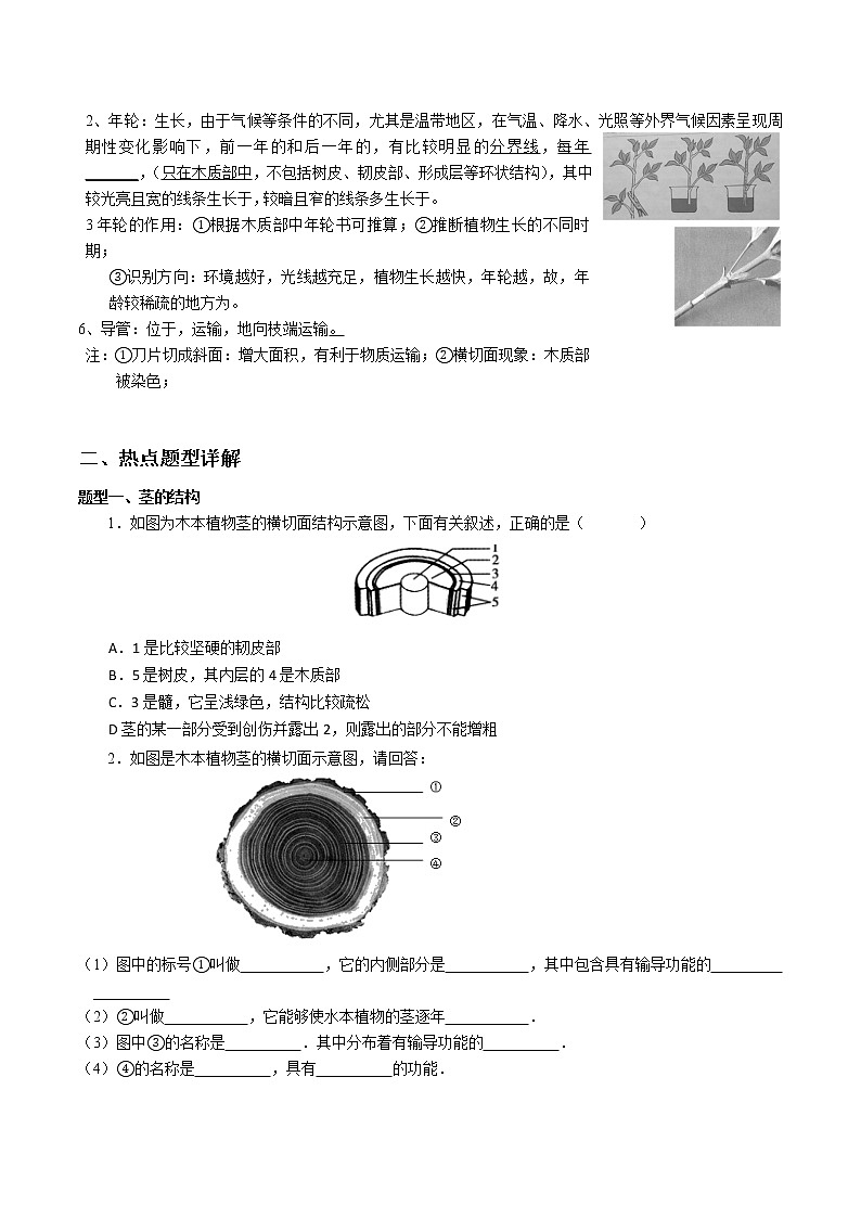 2020-2021学年浙教版八年级科学下册期末复习讲义（机构）4.4植物的茎与物质的运输 （考点分析+热点题型详解+巩固提升）02