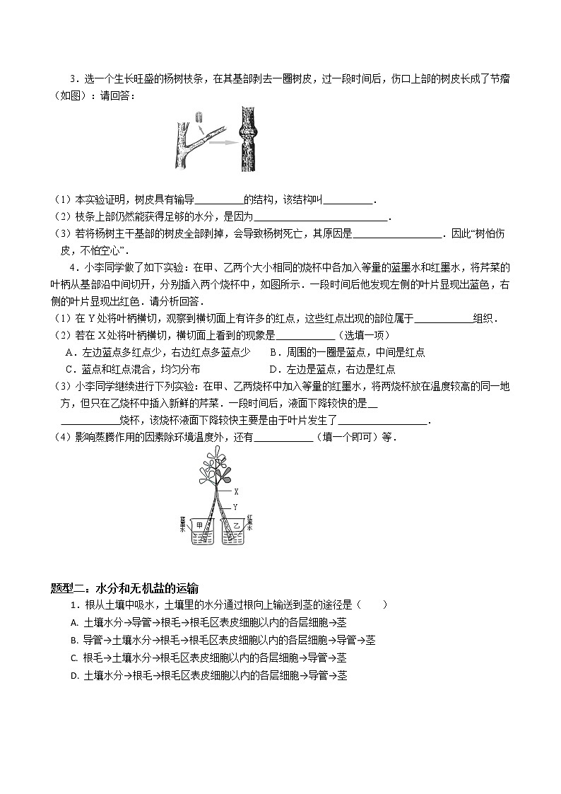 2020-2021学年浙教版八年级科学下册期末复习讲义（机构）4.4植物的茎与物质的运输 （考点分析+热点题型详解+巩固提升）03