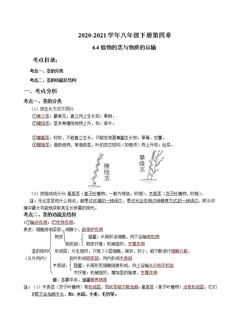 2020-2021学年浙教版八年级科学下册期末复习讲义（机构）4.4植物的茎与物质的运输 （考点分析+热点题型详解+巩固提升）01