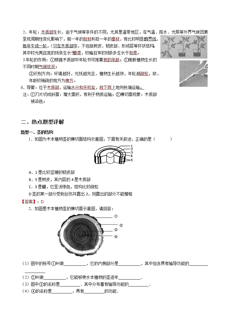 2020-2021学年浙教版八年级科学下册期末复习讲义（机构）4.4植物的茎与物质的运输 （考点分析+热点题型详解+巩固提升）02