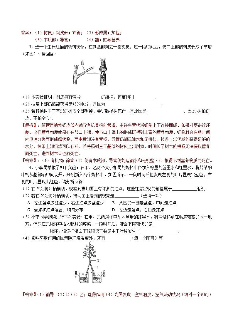 2020-2021学年浙教版八年级科学下册期末复习讲义（机构）4.4植物的茎与物质的运输 （考点分析+热点题型详解+巩固提升）03