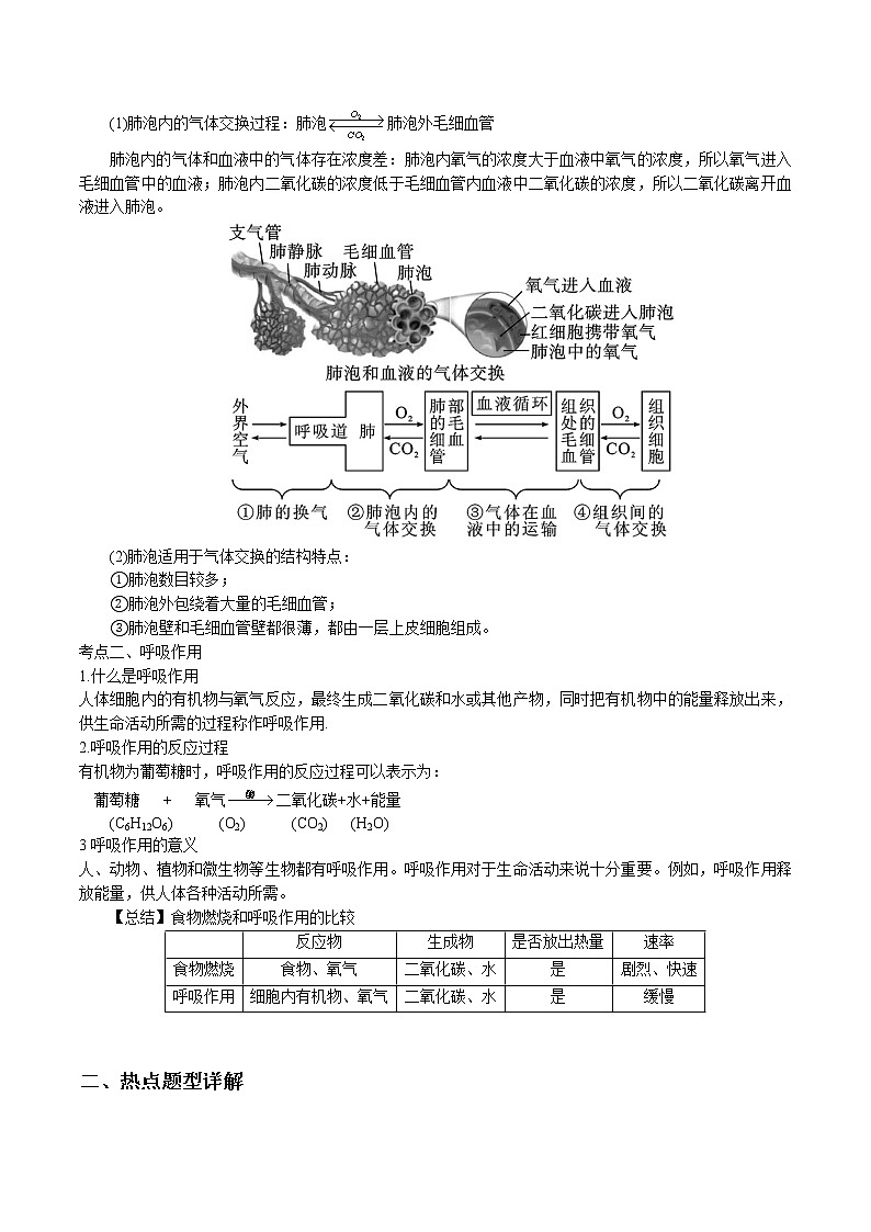 2020-2021学年浙教版八年级科学下册期末复习讲义（机构 ）3.5生物的呼吸与呼吸作用（考点分析+热点题型详解+巩固提升）—02