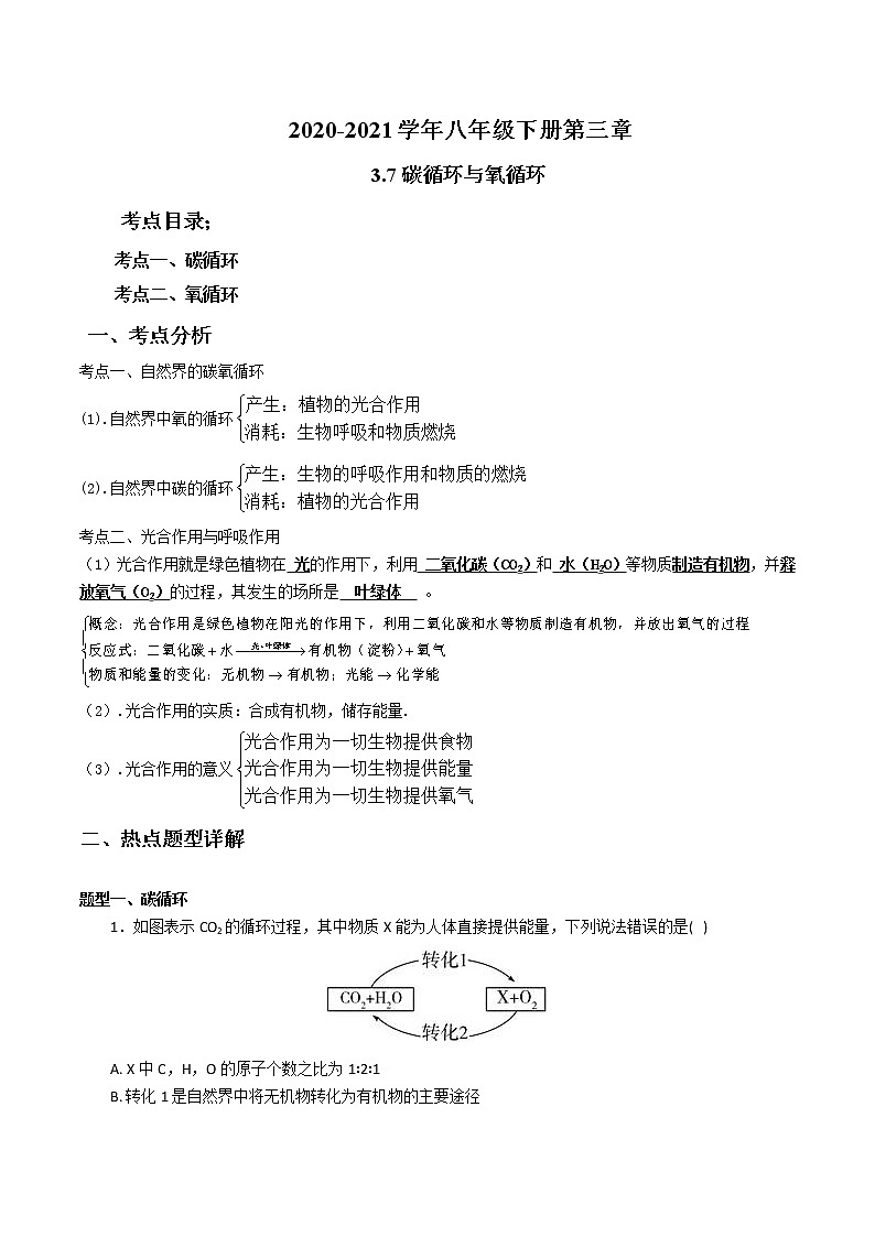 2020-2021学年浙教版八年级科学下册期末复习讲义（机构 3.7碳循环与氧循环用（考点分析+热点题型详解+巩固提升）—）01