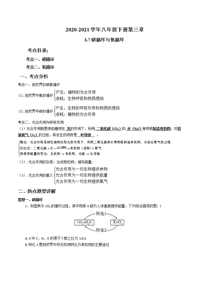 2020-2021学年浙教版八年级科学下册期末复习讲义（机构 3.7碳循环与氧循环用（考点分析+热点题型详解+巩固提升）—）01