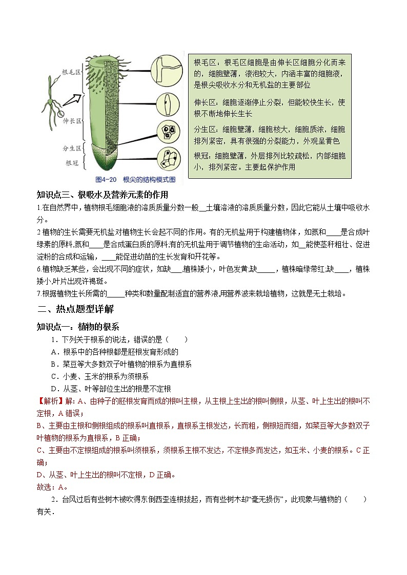 2020-2021学年浙教版八年级科学下册期末复习讲义（机构）4.3植物的根与物质的吸收 （考点分析+热点题型详解+巩固提升）02