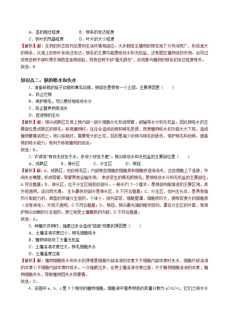 2020-2021学年浙教版八年级科学下册期末复习讲义（机构）4.3植物的根与物质的吸收 （考点分析+热点题型详解+巩固提升）03