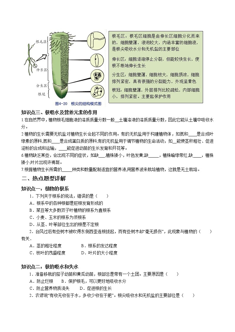 2020-2021学年浙教版八年级科学下册期末复习讲义（机构）4.3植物的根与物质的吸收 （考点分析+热点题型详解+巩固提升）02