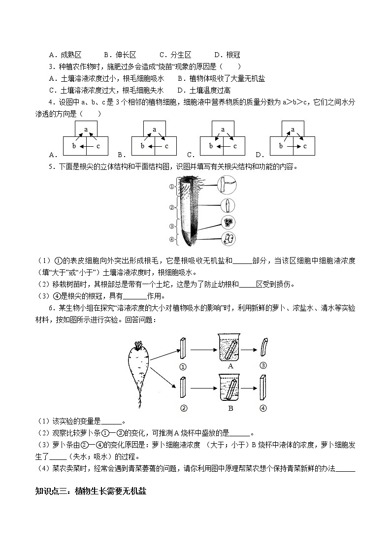 2020-2021学年浙教版八年级科学下册期末复习讲义（机构）4.3植物的根与物质的吸收 （考点分析+热点题型详解+巩固提升）03