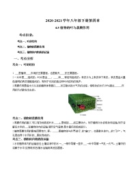 2020-2021学年浙教版八年级科学下册期末复习讲义（机构）4.5植物的叶与蒸腾作用 （考点分析+热点题型详解+巩固提升）