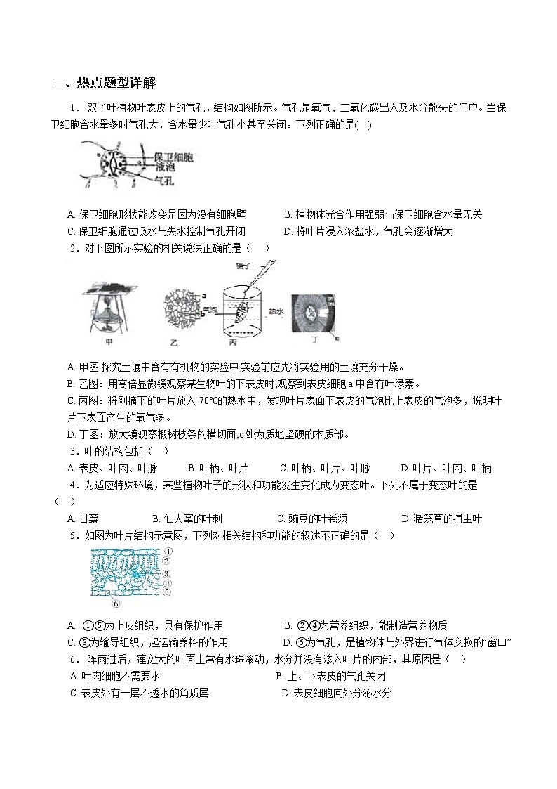 2020-2021学年浙教版八年级科学下册期末复习讲义（机构）4.5植物的叶与蒸腾作用 （考点分析+热点题型详解+巩固提升）02