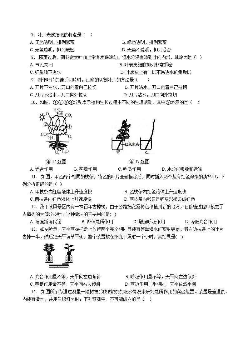 2020-2021学年浙教版八年级科学下册期末复习讲义（机构）4.5植物的叶与蒸腾作用 （考点分析+热点题型详解+巩固提升）03