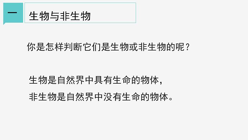 2.1  生物与非生物 课件—2021-2022学年浙教版七年级科学上册06