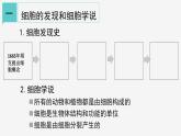 2.2  细胞① 课件—2021-2022学年浙教版七年级科学上册