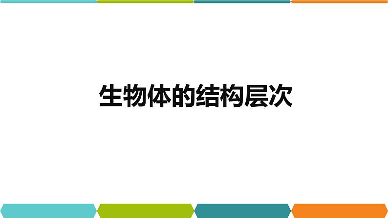 2.3 生物体的结构层次① 课件—2021-2022学年浙教版七年级科学上册01