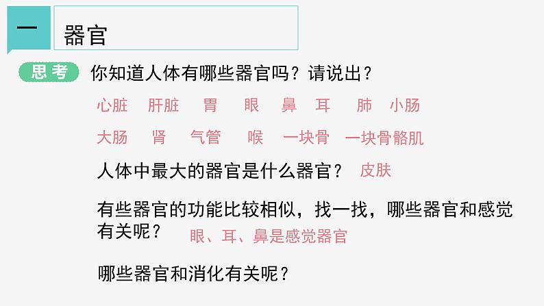 2.3 生物体的结构层次②课件—2021-2022学年浙教版七年级科学上册06